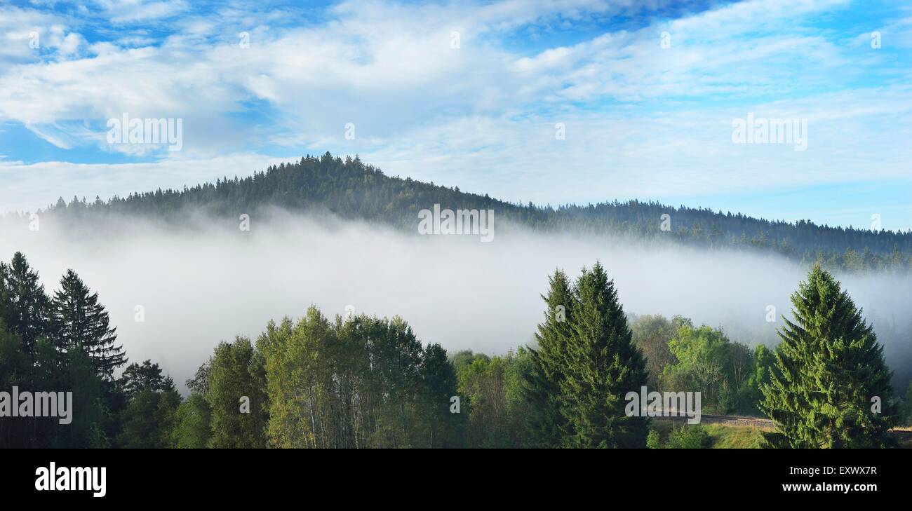 Bavarian Forest, Bavaria, Germany, Europe Stock Photo