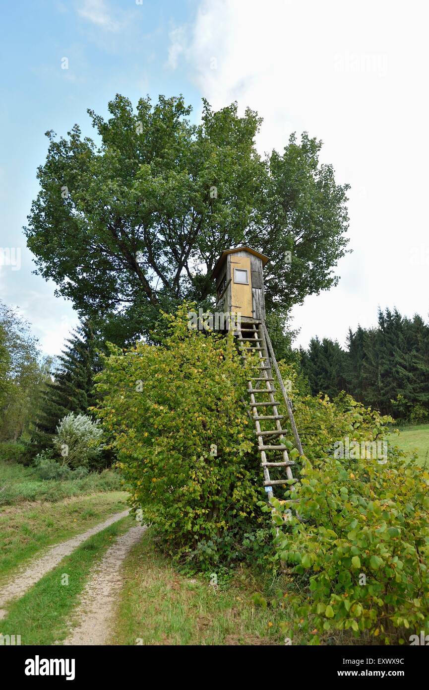 Raised hide, Upper Palatinate, Bavaria, Germany, Europe Stock Photo