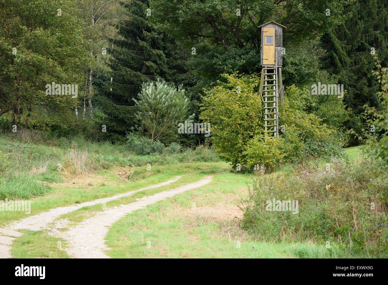 Raised hide, Upper Palatinate, Bavaria, Germany, Europe Stock Photo