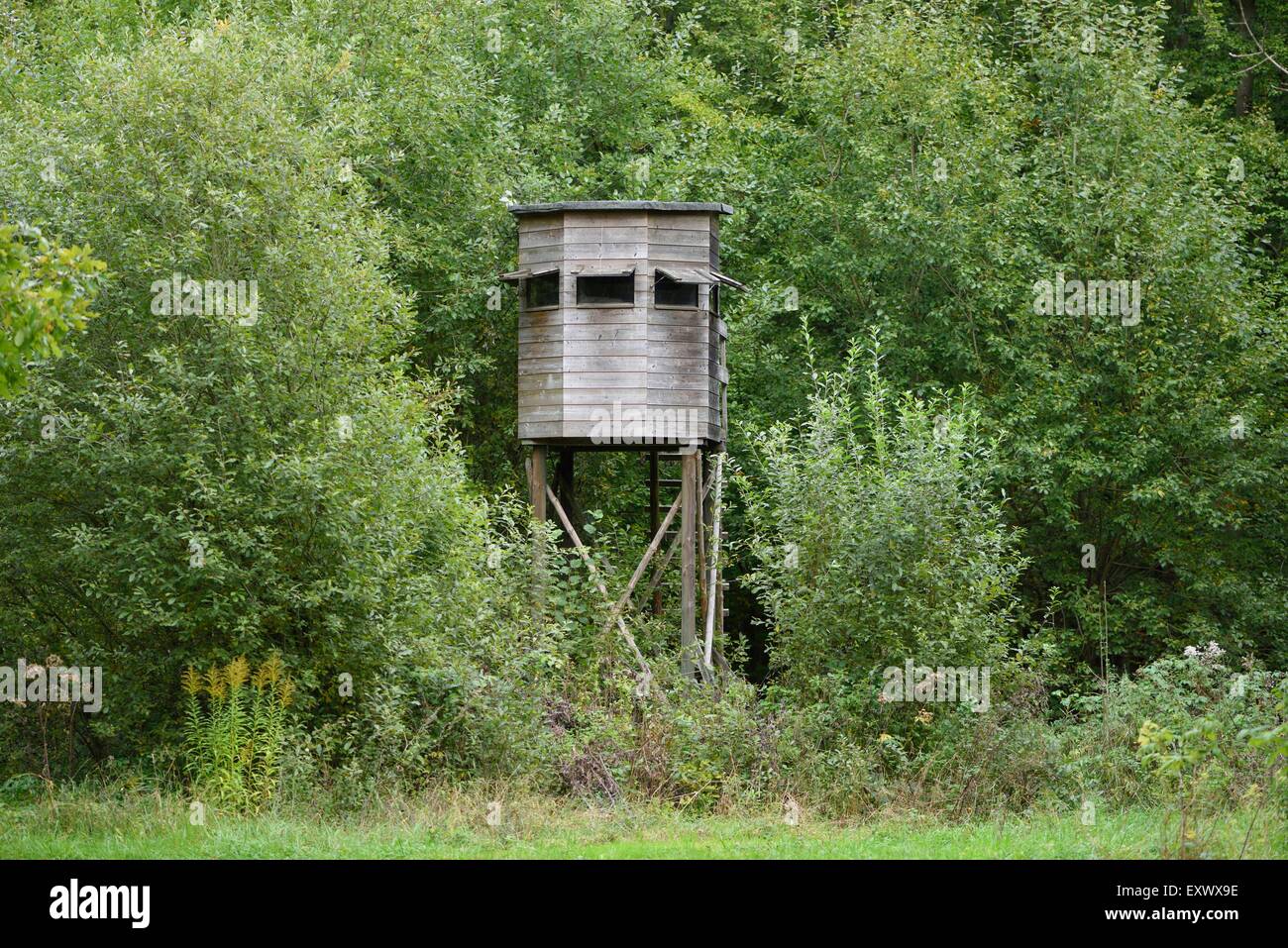 Raised hide, Upper Palatinate, Bavaria, Germany, Europe Stock Photo