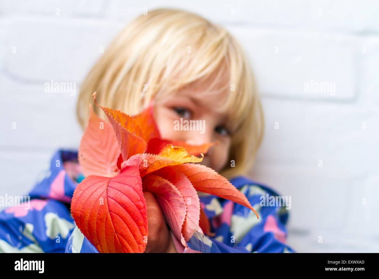 Girl with foliage, Kiel, Schleswig-Holstein, Germany, Europe Stock Photo