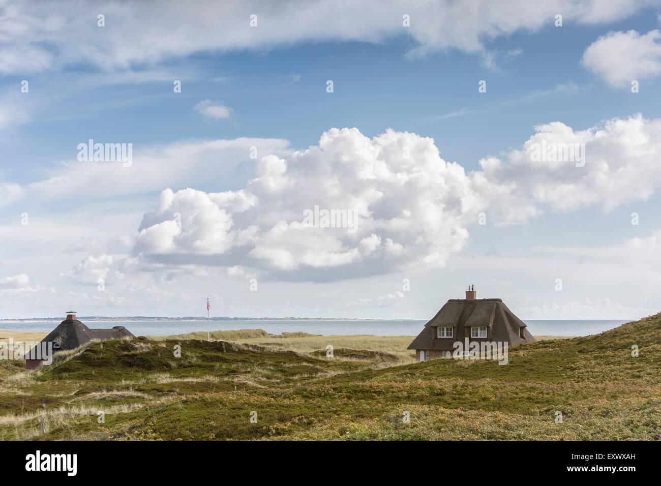 Holiday houses, Kersig-Siedlung, Hoernum, Sylt, Schleswig-Holstein, Germany, Europe Stock Photo