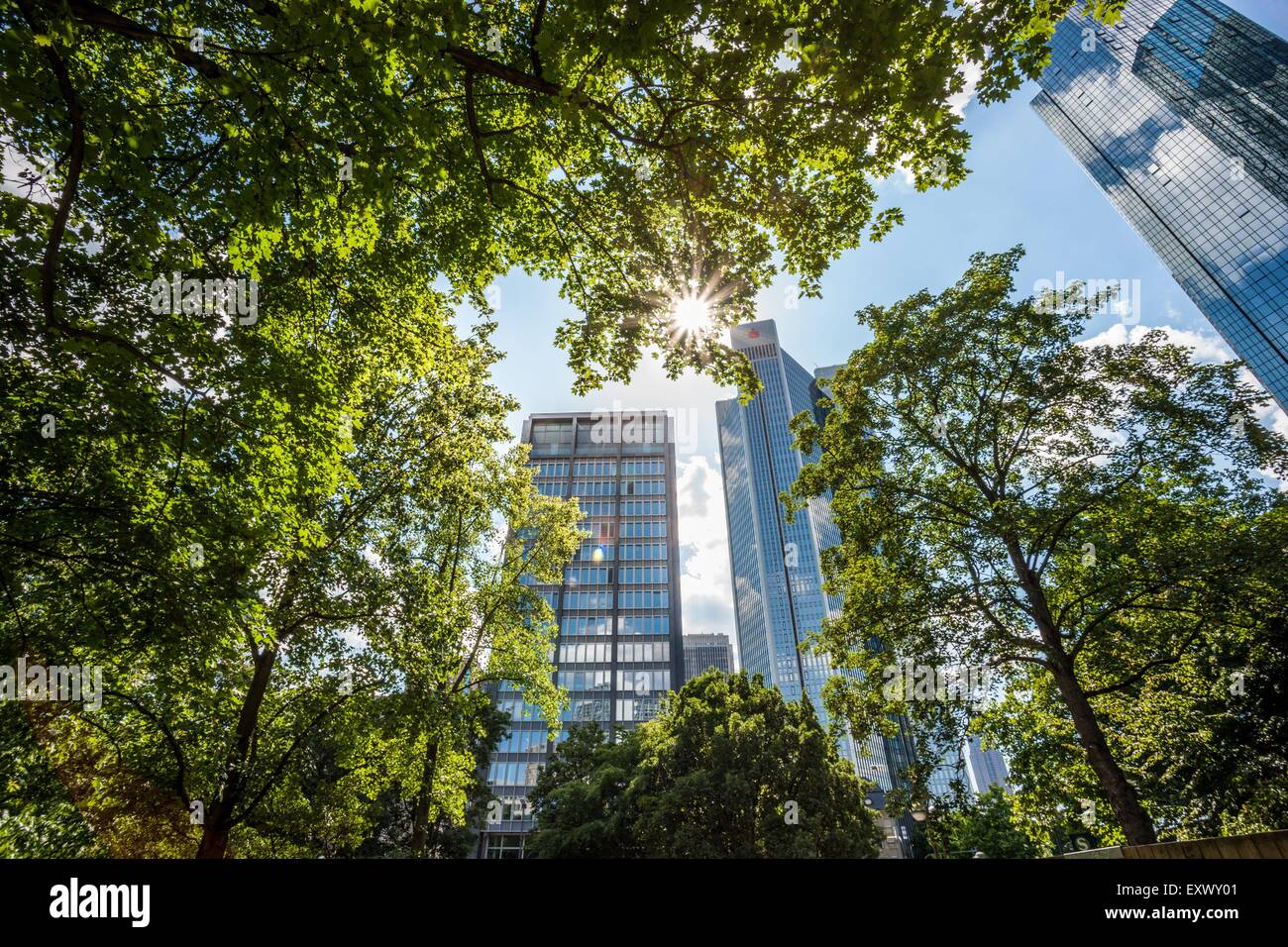 Skyscrapers in Frankfurt am Main, Germany Stock Photo - Alamy
