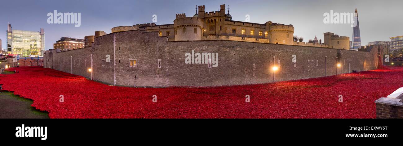 Poppy installation at Tower of London at night, London, UK Stock Photo