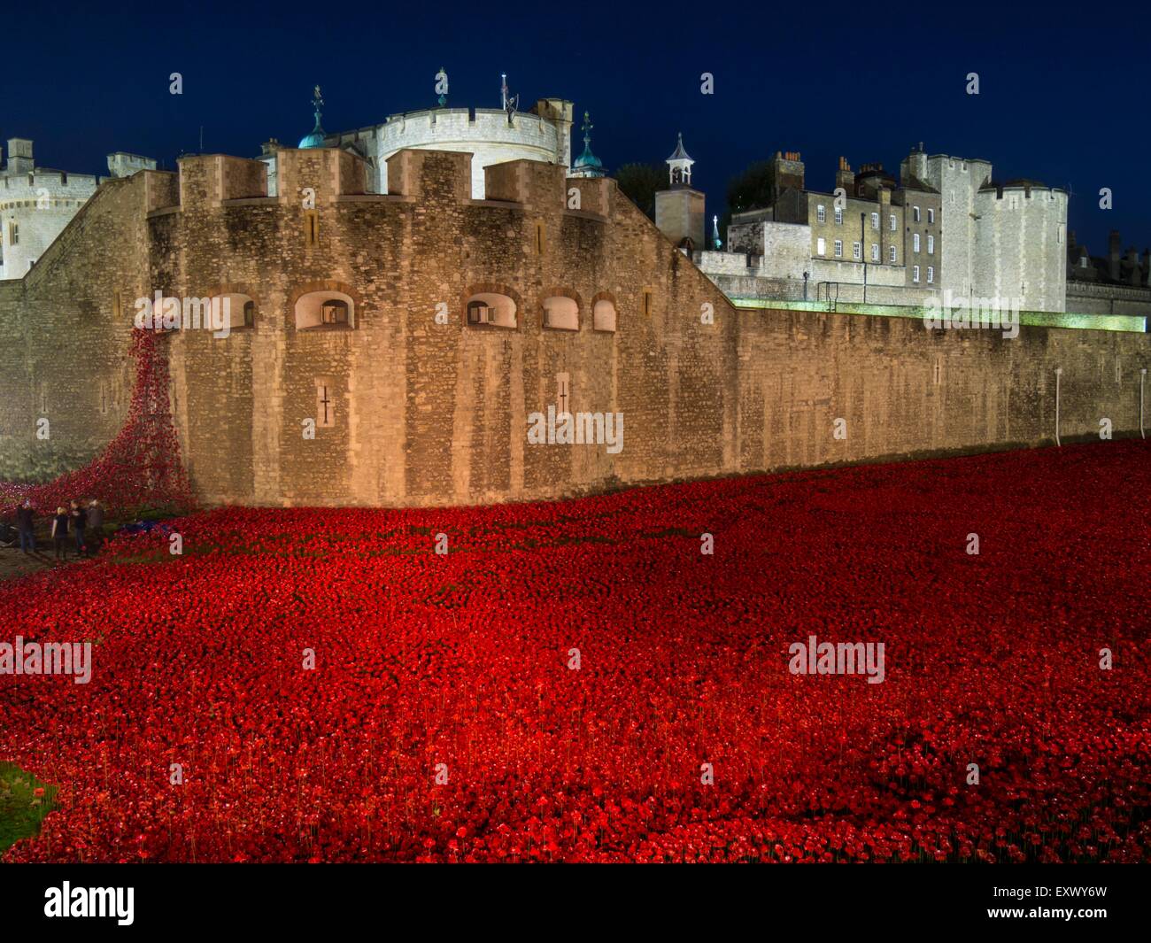 Poppy installation at Tower of London at night, London, UK Stock Photo ...