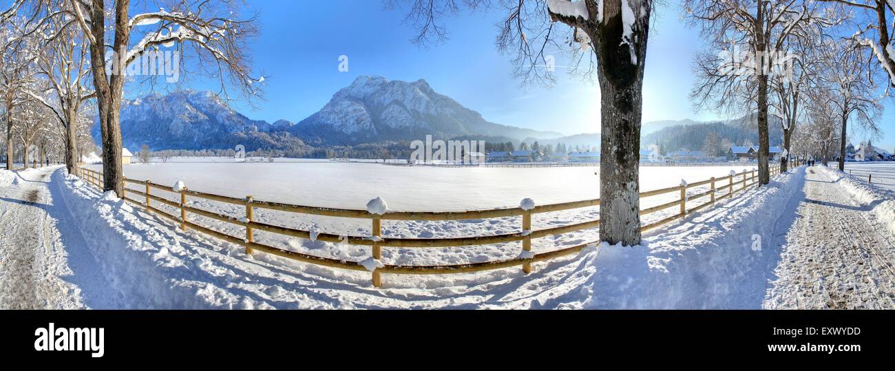 Castle Neuschwanstein, Ammergau Alps, Allgaeu, Bavaria, Germany, Europe Stock Photo