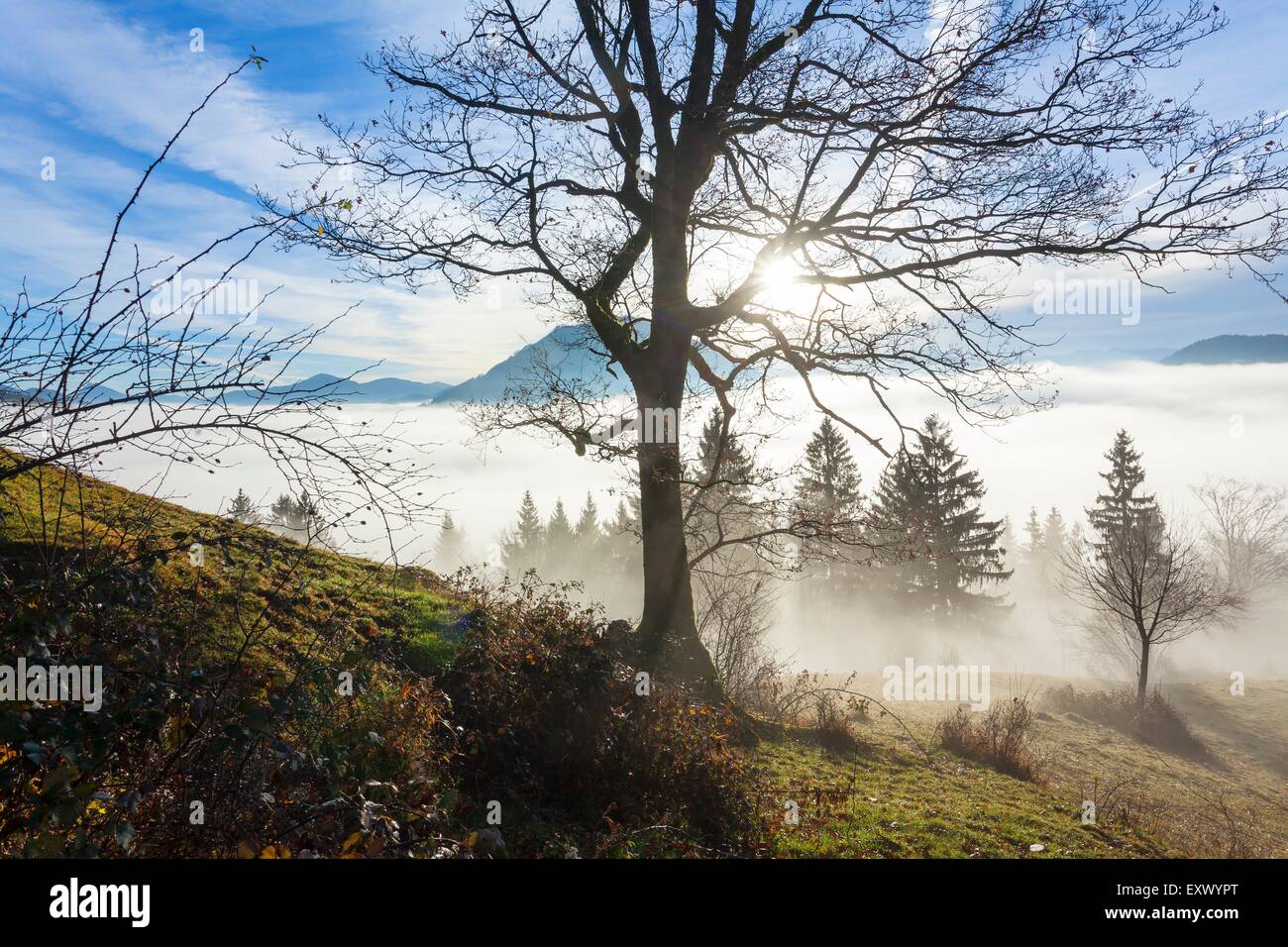 Sunrise at Gaisberg above Salzburg, Austria Stock Photo