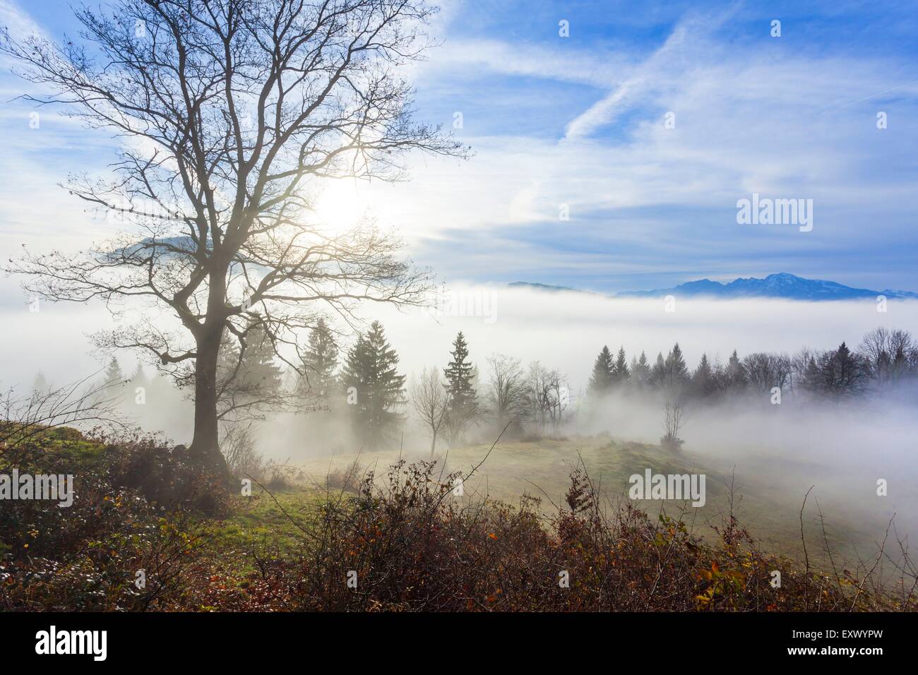 Sunrise at Gaisberg above Salzburg, Austria Stock Photo