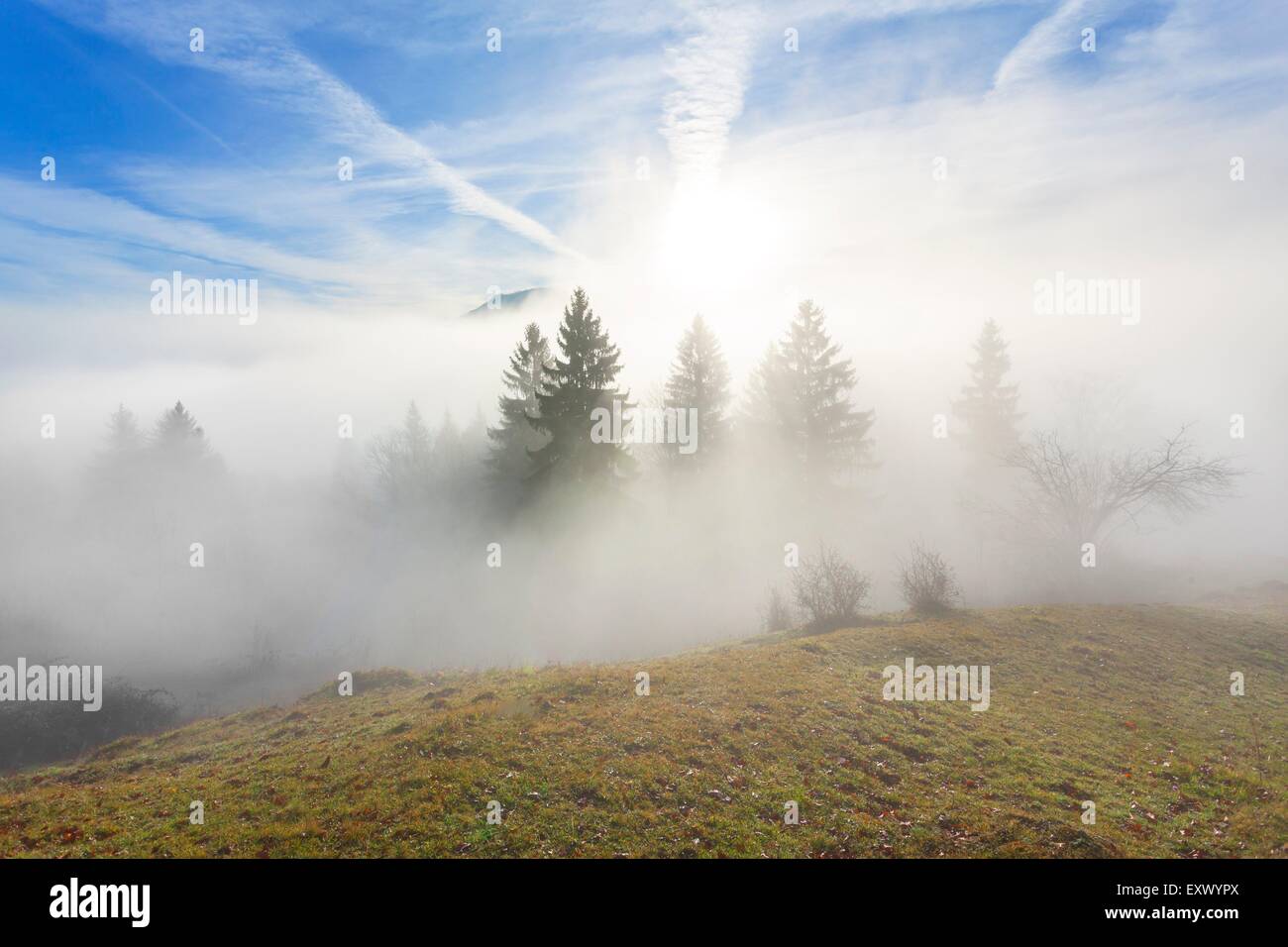 Sunrise at Gaisberg above Salzburg, Austria Stock Photo