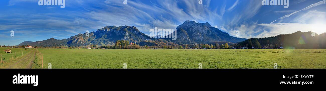 Castle Neuschwanstein, Ammergau Alps, Bavaria, Germany, Europe Stock Photo