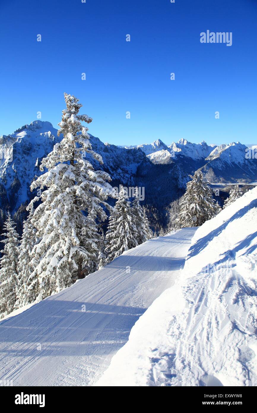 Tegelberg in winter, Ammergau Alps, Allgaeu, Bavaria, Germany, Europe Stock Photo