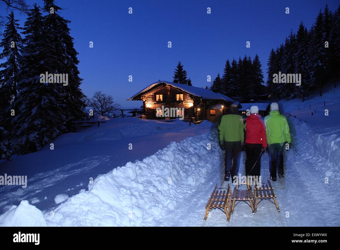 Three persons with sledge in snow, Ammergau Alps, Allgaeu, Bavaria, Germany, Europe Stock Photo
