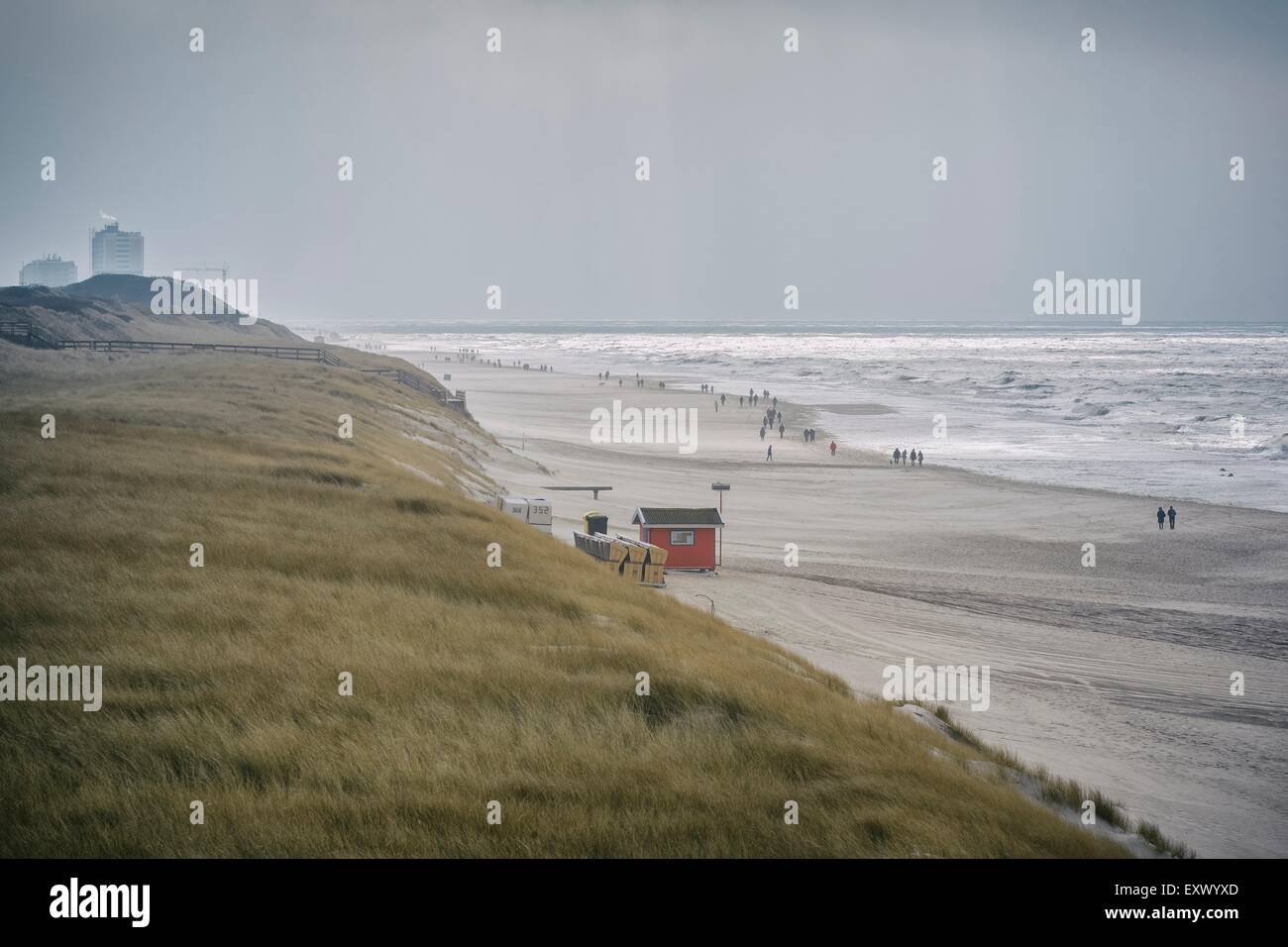 Dunes and beach, Sylt, Schleswig-Holstein, Germany, Europe Stock Photo