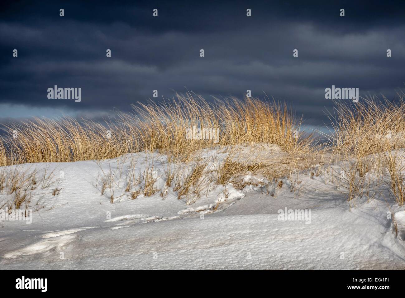 Snow covered dunes, Sylt, Schleswig-Holstein, Germany, Europe Stock Photo