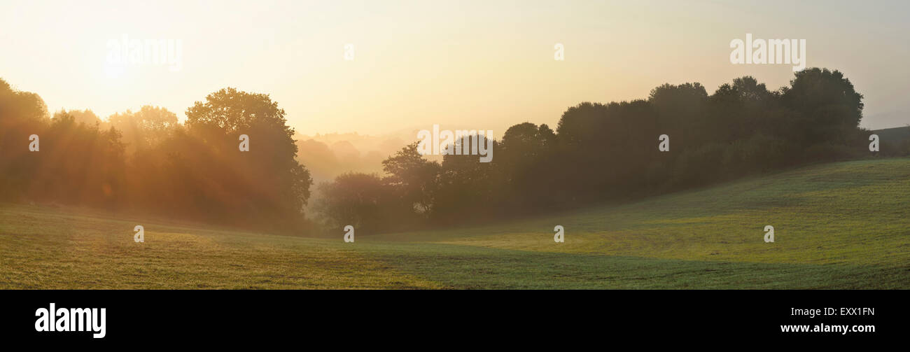 Landscape at sunrise, Upper Palatinate, Bavaria, Germany, Europe Stock Photo