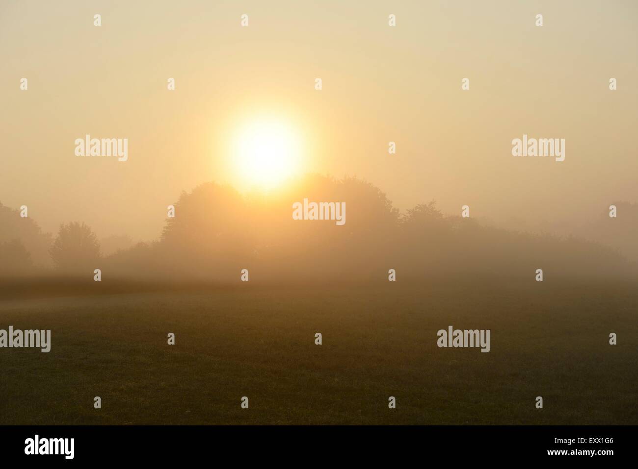 Landscape in fog, Upper Palatinate, Bavaria, Germany, Europe Stock Photo