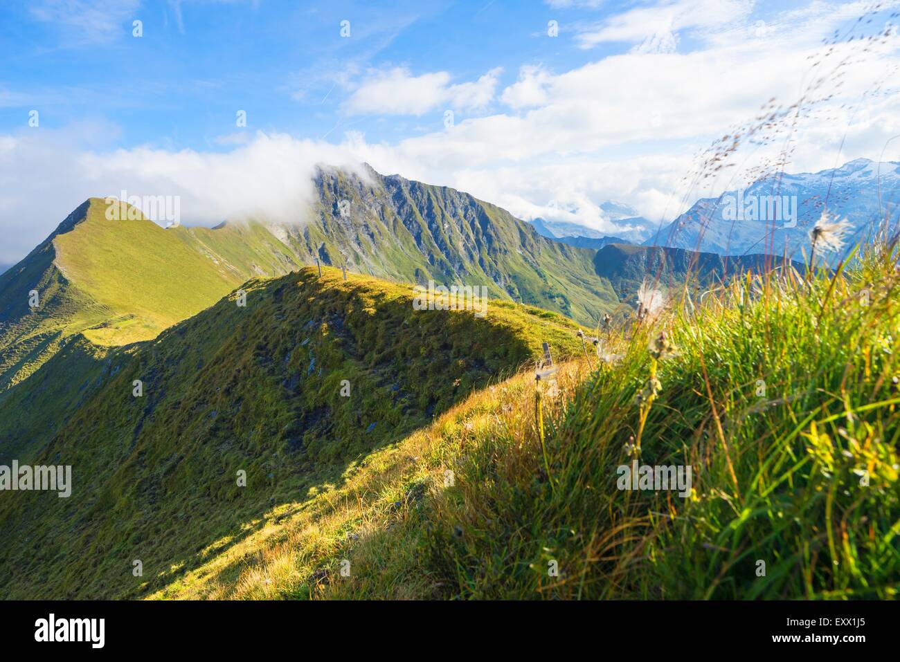 Grossarler Berge, Hohe Tauern, Pongau, Salzburger Land, Austria, Europe Stock Photo