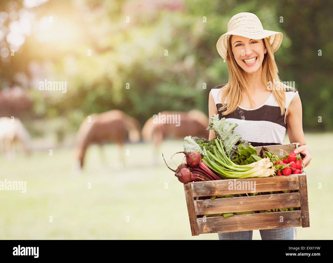 Woman carrying fresh vegetables in box Stock Photo