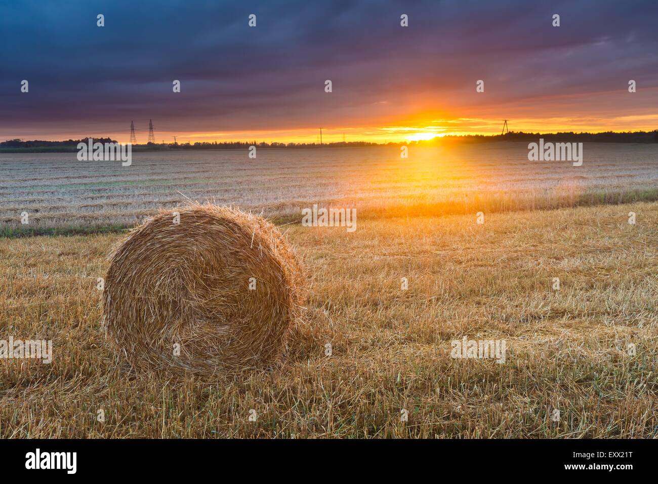 late summer landscape with straw bales on stubble field Stock Photo - Alamy
