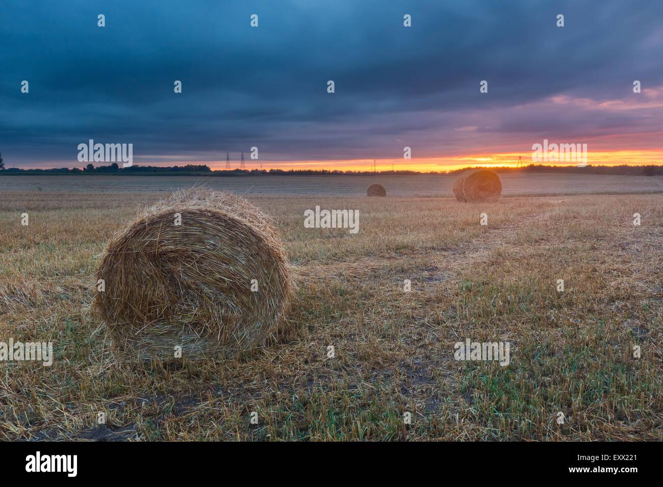 late summer landscape with straw bales on stubble field Stock Photo - Alamy