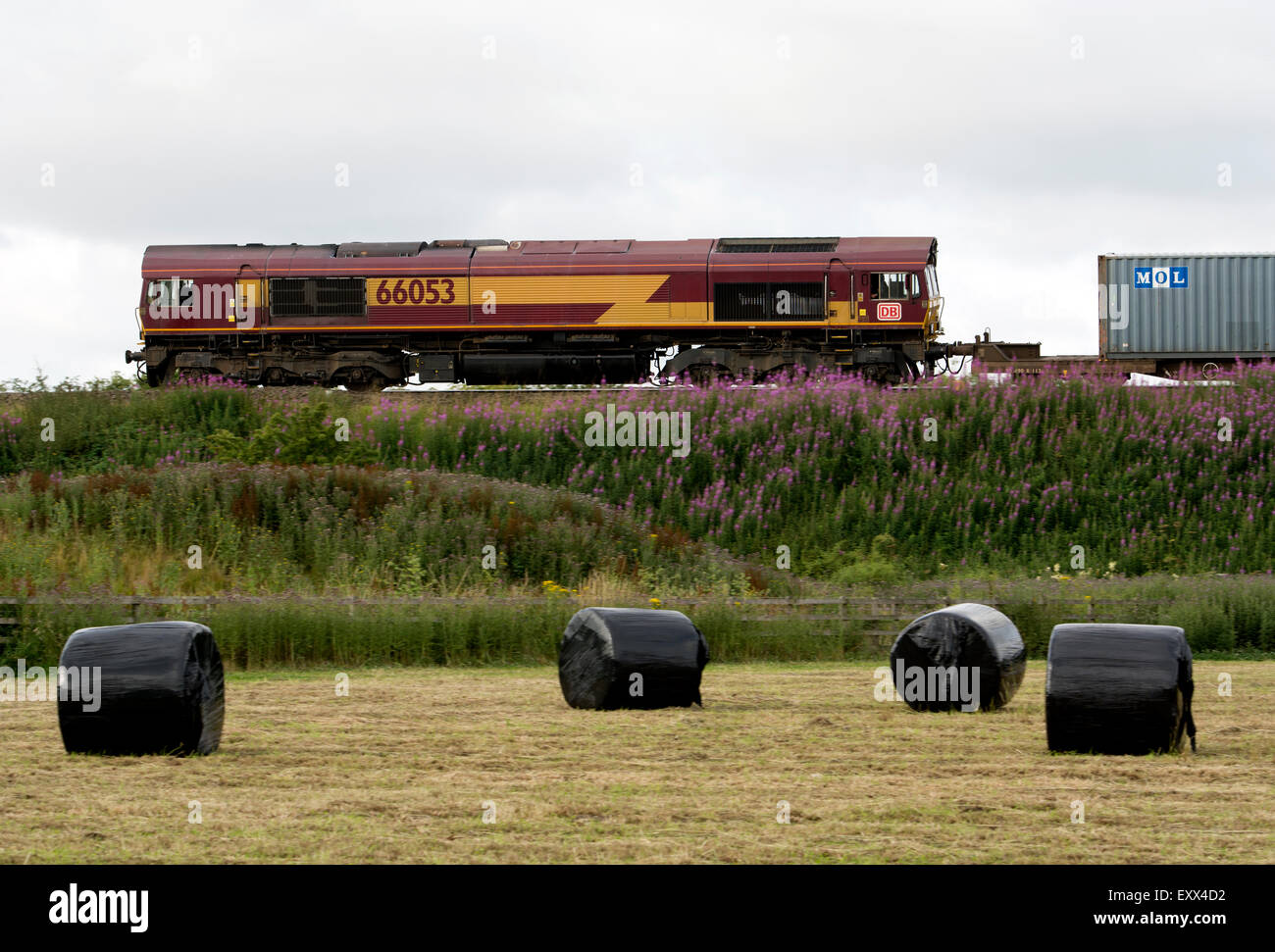 Class 66 diesel locomotive pulling freightliner train, Hatton Bank, Warwickshire, UK Stock Photo