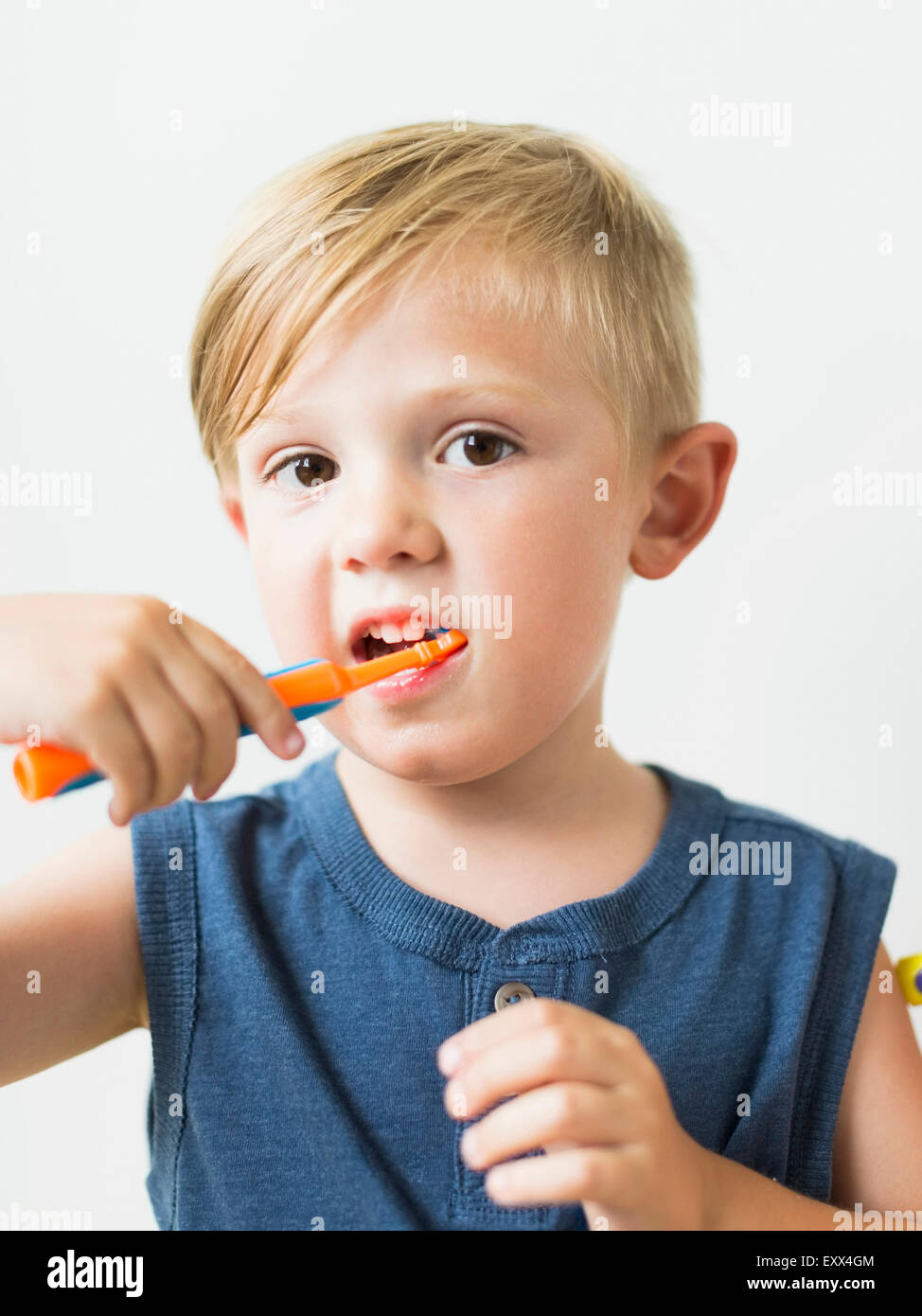 Little boy (23) brushing teeth Stock Photo Alamy