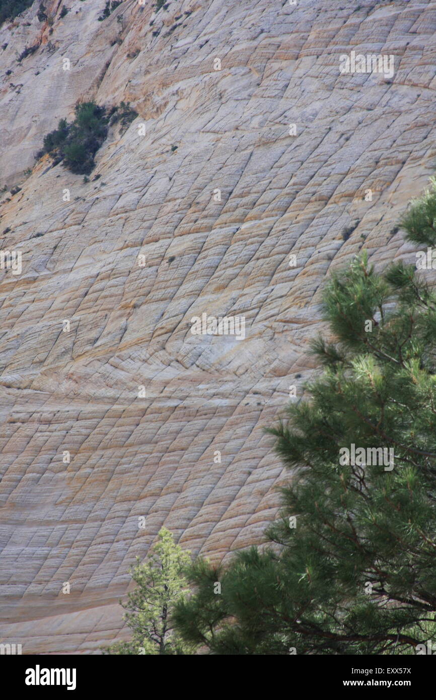 Checkerboard formation hi-res stock photography and images - Alamy