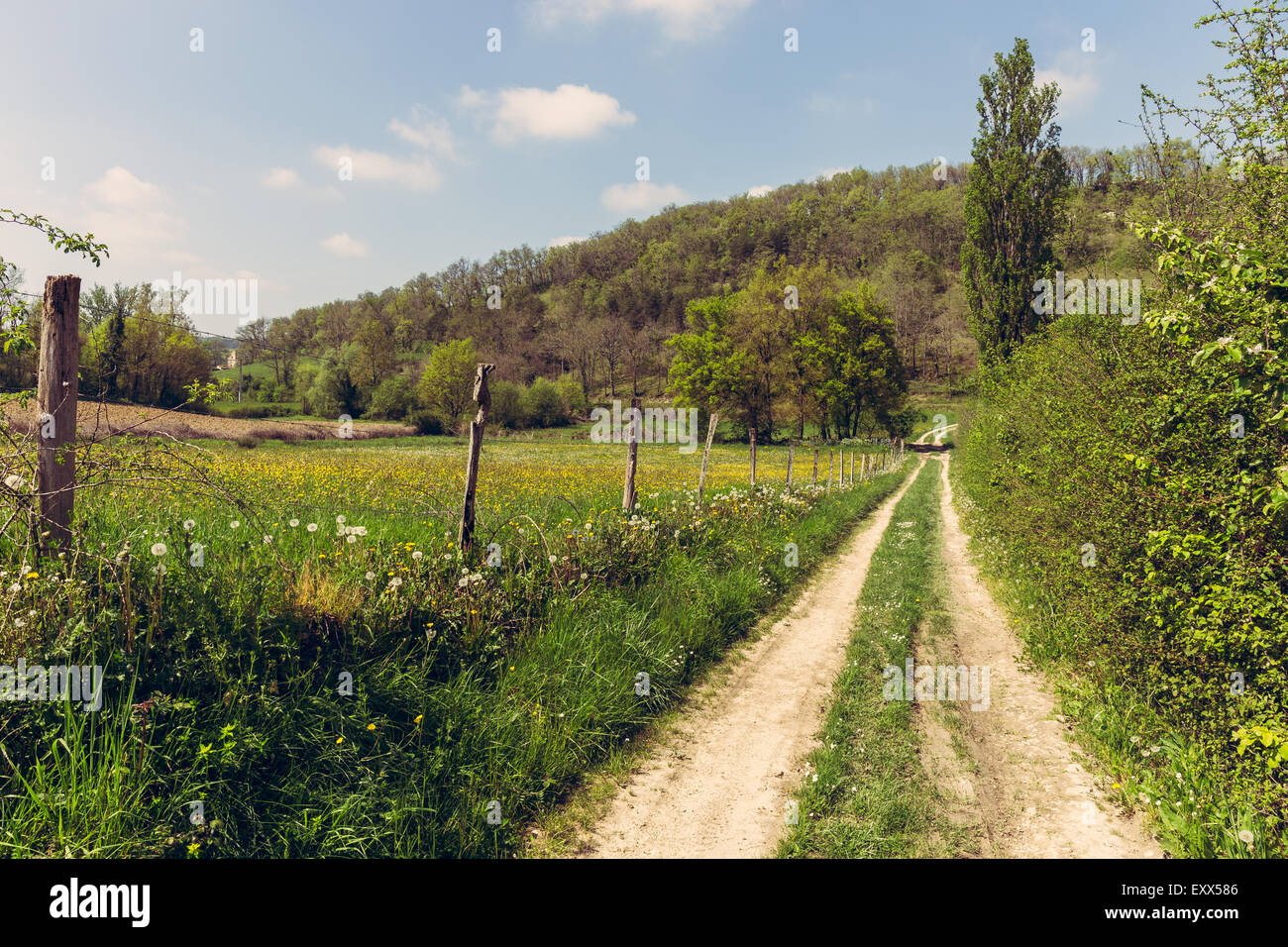 Fence posts and path in nature Stock Photo - Alamy