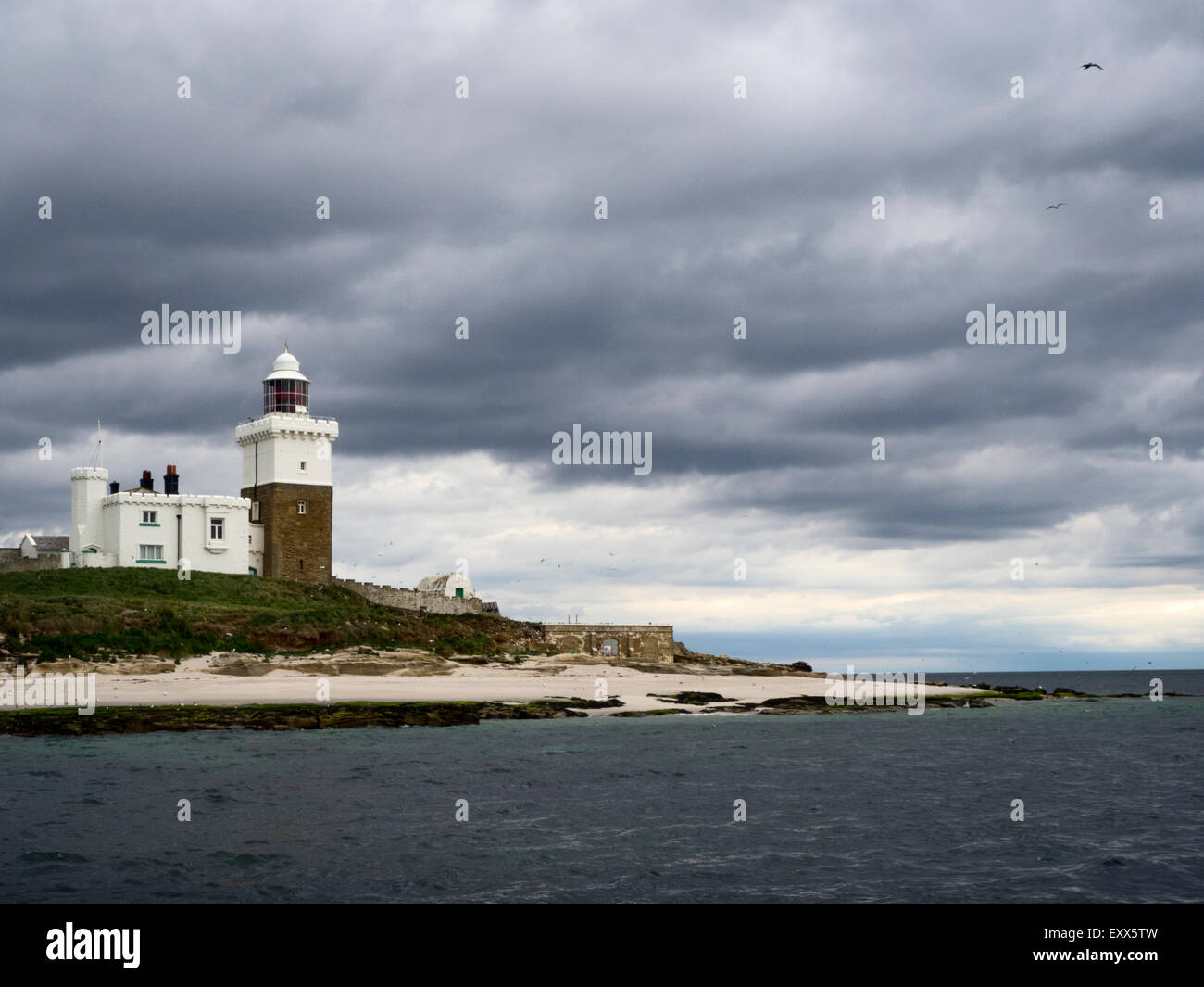 Lighthouse on Coquet Island Amble by the Sea Northumberland England