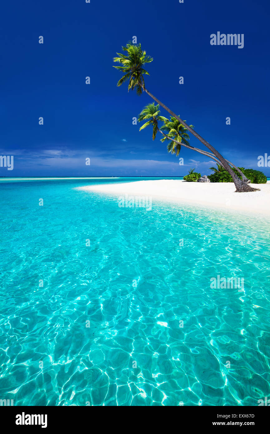 Amazing beach on a tropical island with palm trees overhanging lagoon Stock Photo