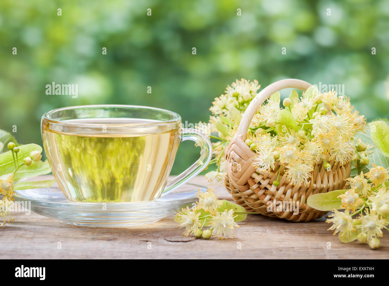 Cup of healthy linden tea and wicker basket with lime flowers, herbal medicine. Stock Photo