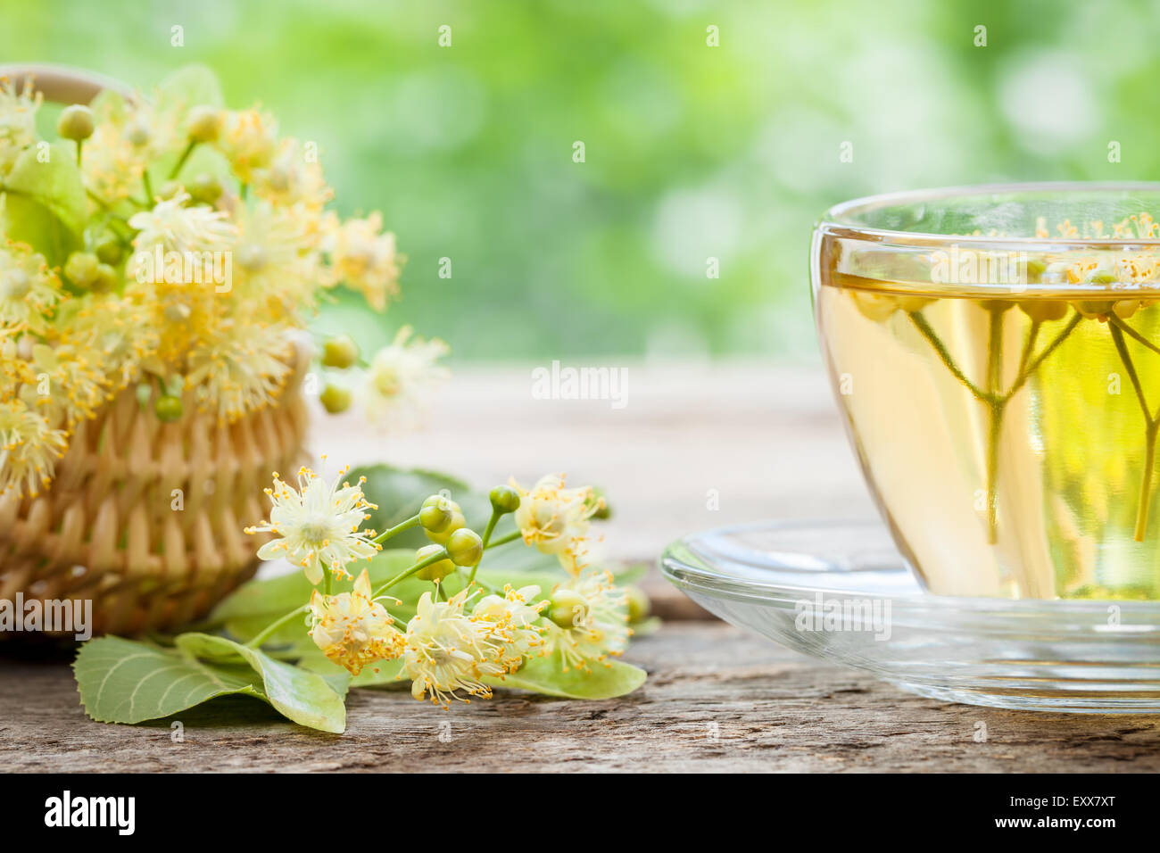 Cup of linden tea and wicker basket with lime flowers, herbal medicine. Stock Photo
