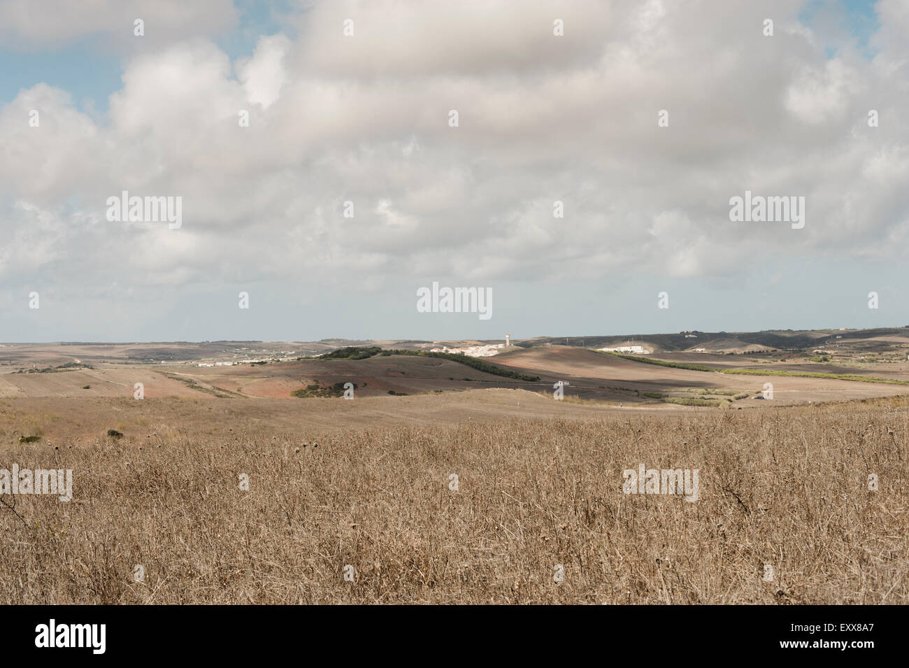 vast plain in southern Portugal Stock Photo
