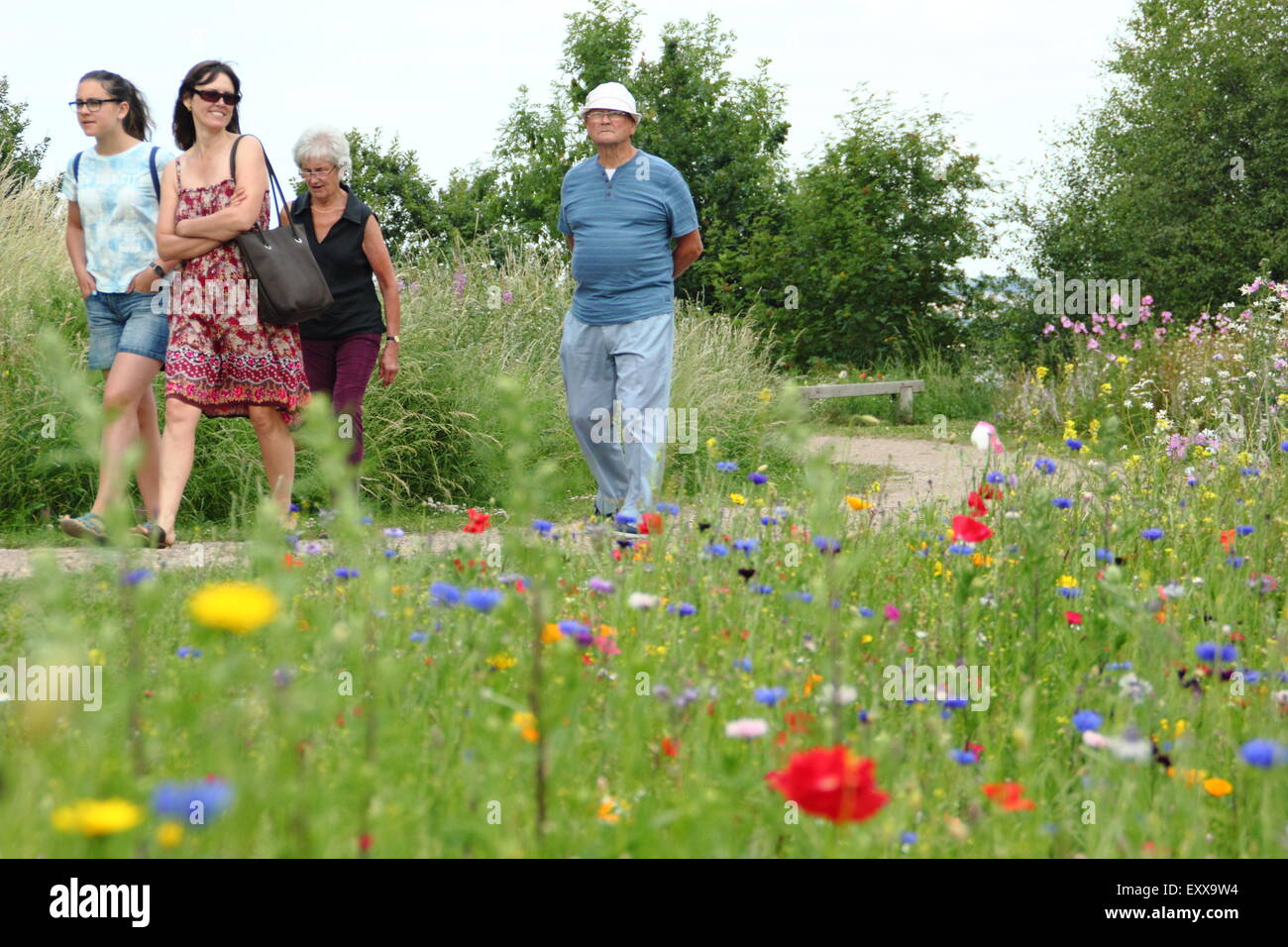 Visitors to Sheffield Manor Lodge walk along a path fringed with wildflowers, Yorkshire, England ,UK Stock Photo