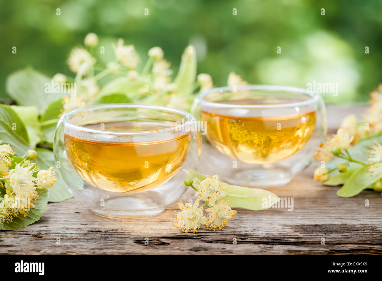 Two cups of healthy linden tea, herbal medicine. Stock Photo