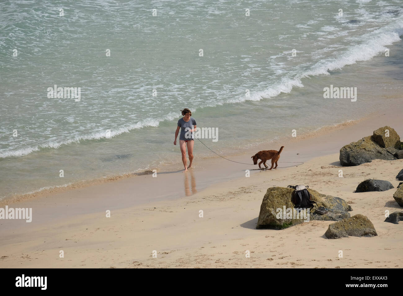 St Ives, Cornwall, UK Women walking her dog on Bamaluz beach one of