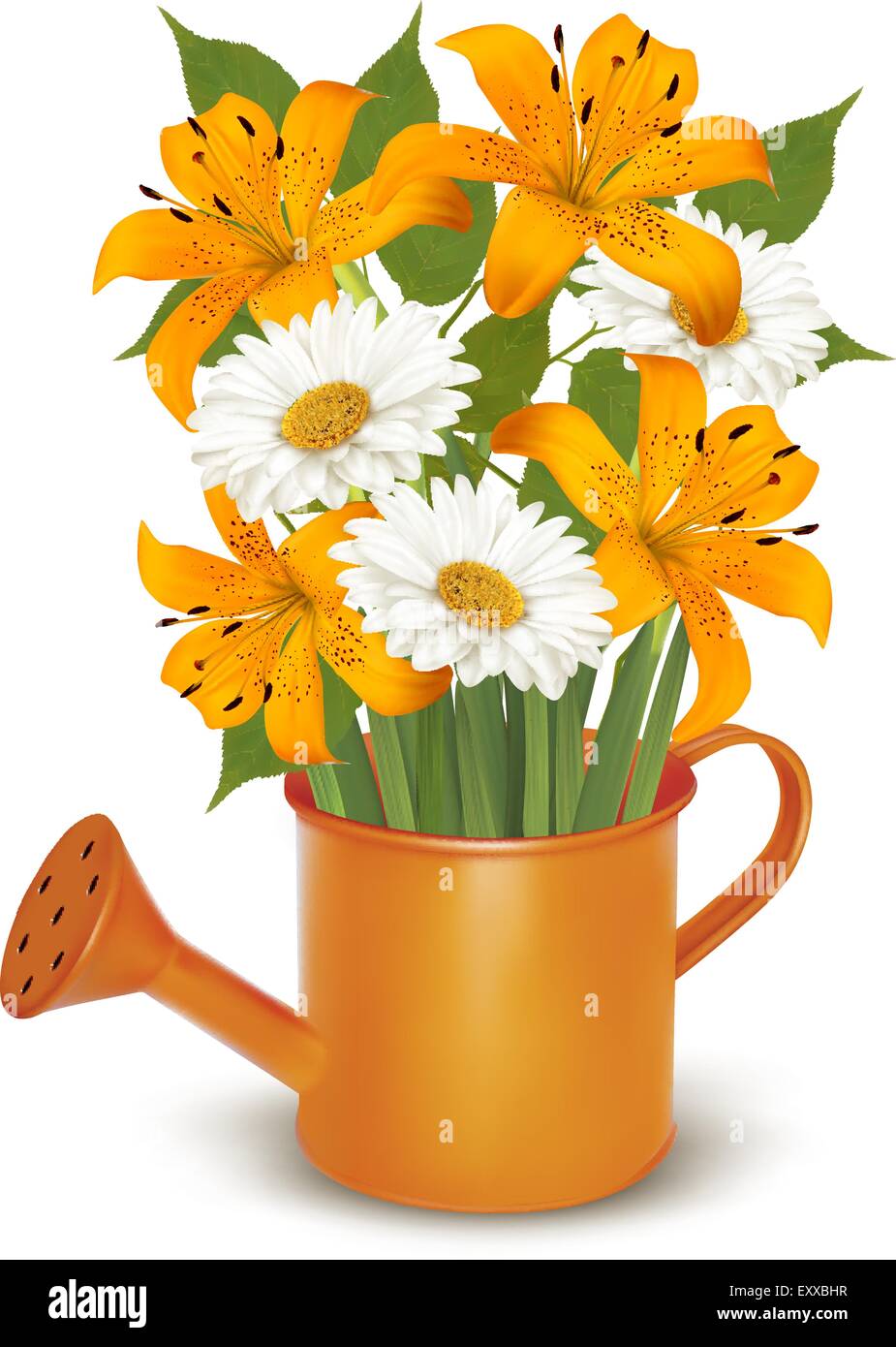 Watering can with a bouquet of flowers. Vector Stock Vector Image & Art ...