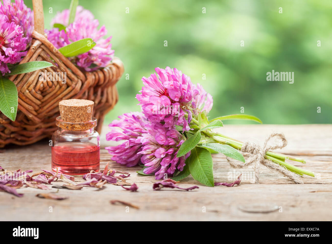 Bottle of elixir or essential oil, bunch of clover and flower in basket. Stock Photo