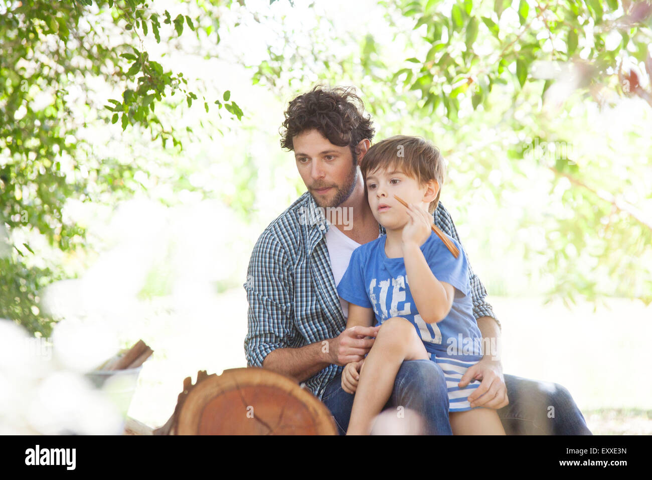Boy sitting on father's lap Stock Photo