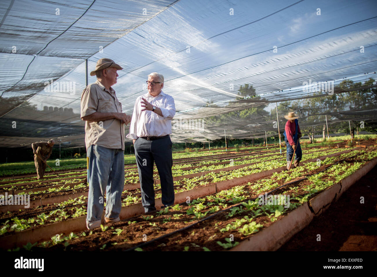 Havana, Cuba. 17th July, 2015. German Foreign Minister Frank-Walter Steinmeier (C) speaks to project manager Miguel Angel Salcines Lopez (L) during a visit to the urban agriculture project 'Vivero Alamar' funded by the Deutsche Welthungerhilfe (German Agro Action) in Havana, Cuba, 17 July 2015. Steinmeier is the first German Foreign Minister to visit Cuba. PHOTO: MICHAEL KAPPELER/dpa/Alamy Live News Stock Photo