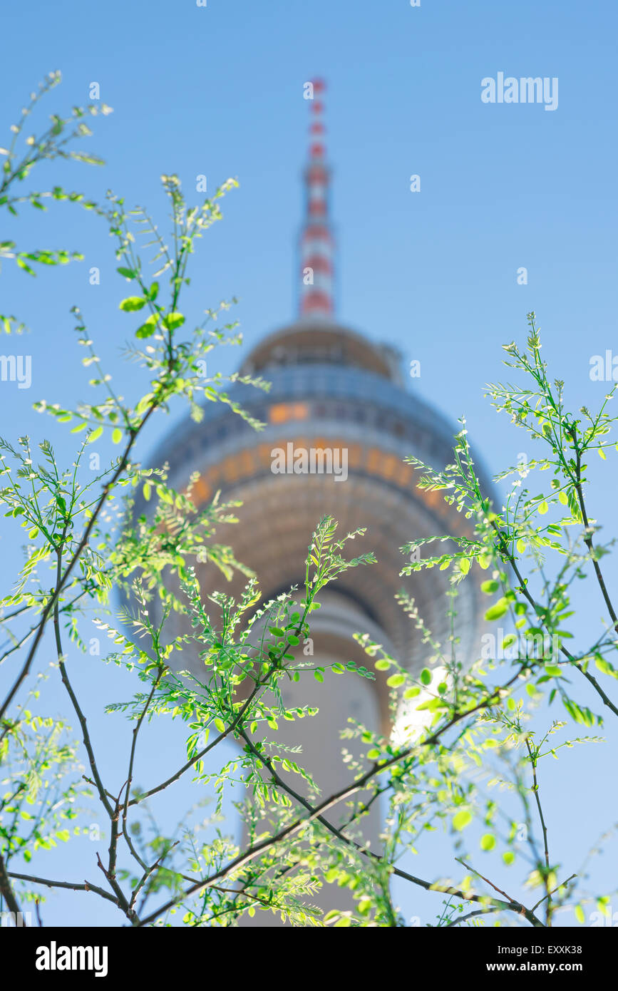 Berlin spring, view of the Fernsehturm tv tower glimpsed through new spring foliage in the Alexanderplatz district of Berlin, Germany. Stock Photo