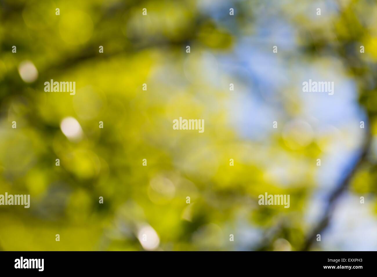 Lens blur natural blurry background hi-res stock photography and images ...