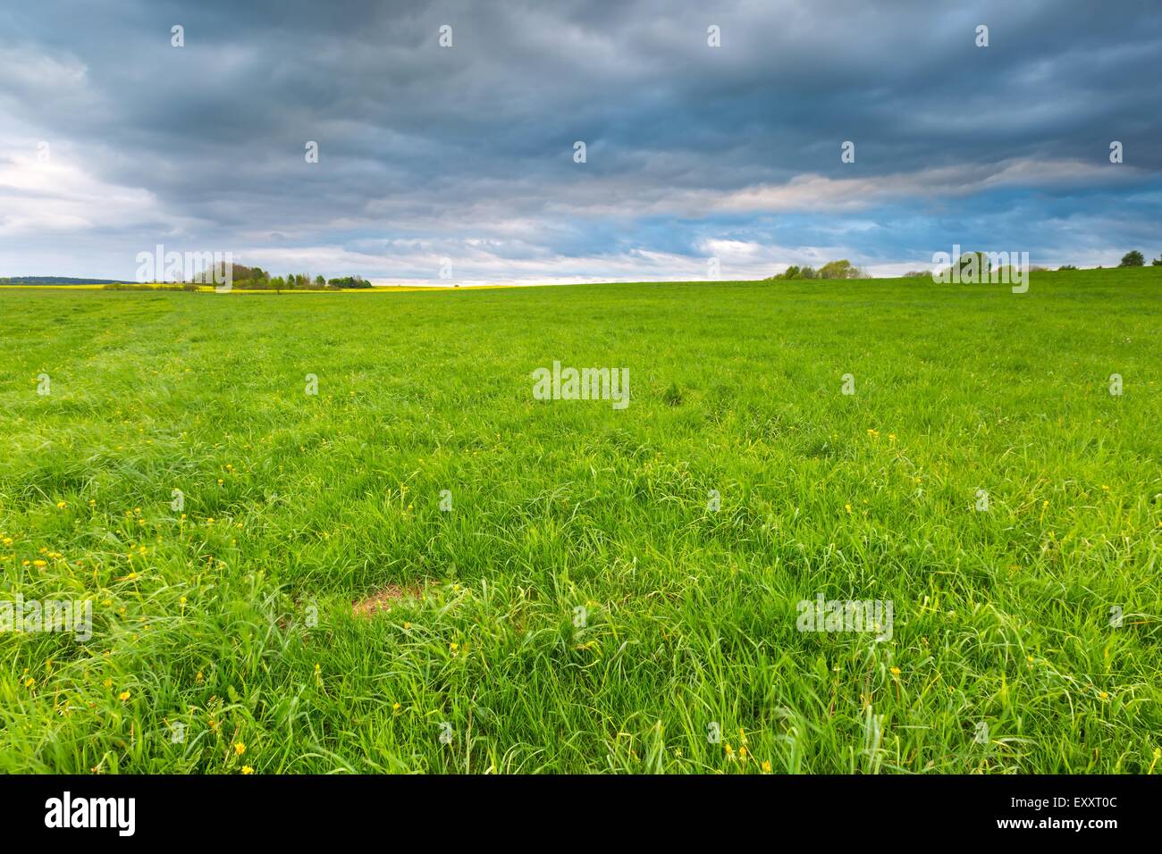 Green springtime meadow landscape with cloudy storm sky. Beautiful grassland landscape under dark sky Stock Photo