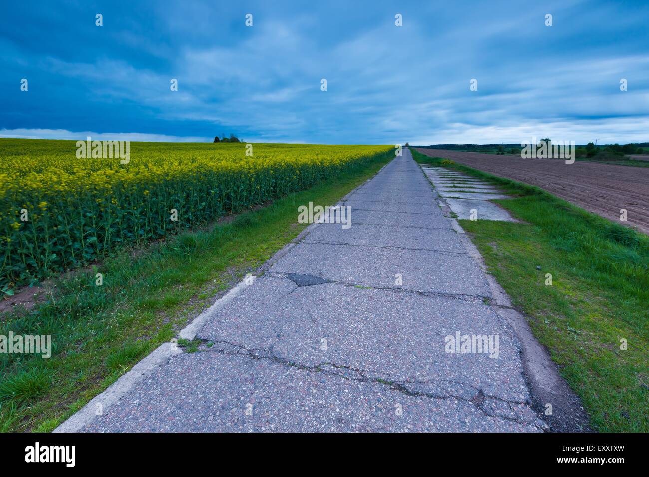Destroyed Rural Road Rural destroyed asphalt road in calm countryside. Springtime landscape ...