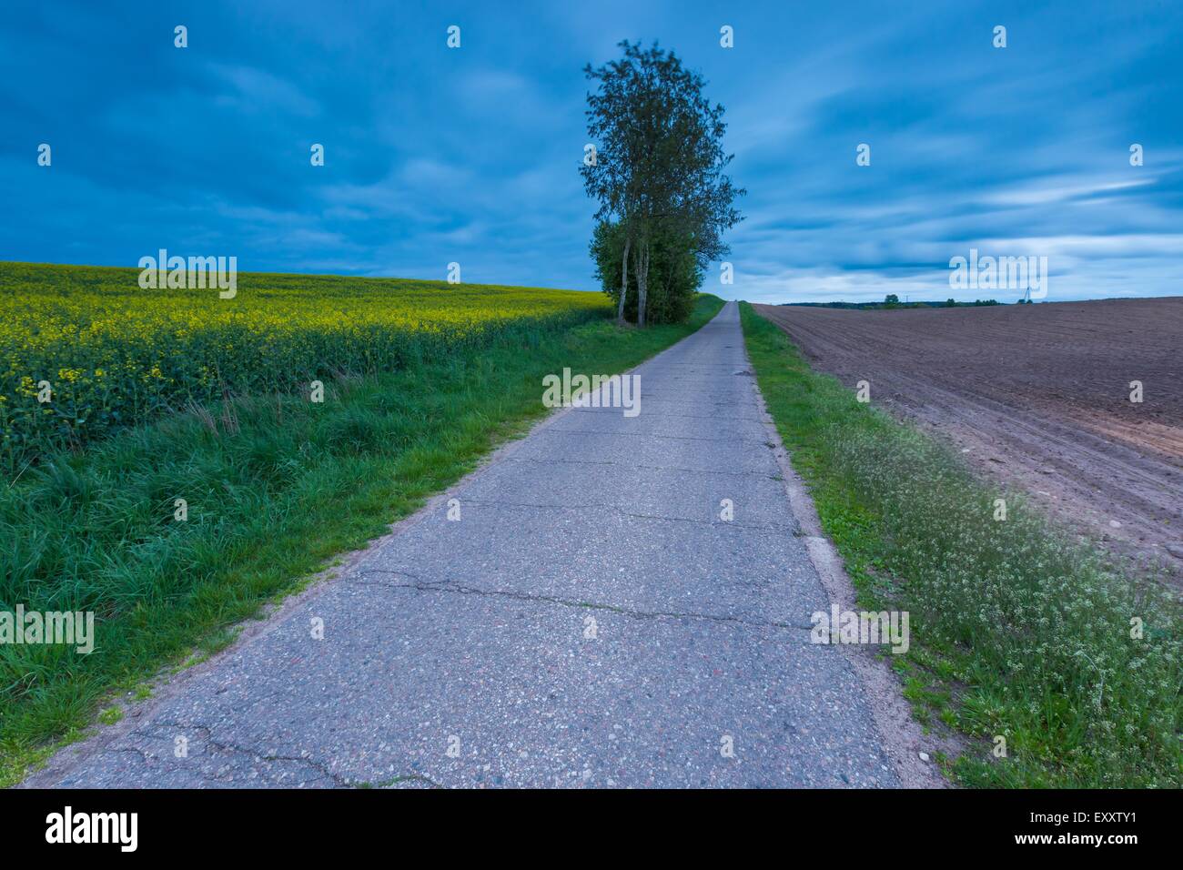 Destroyed Rural Road Rural destroyed asphalt road in calm countryside. Springtime landscape ...