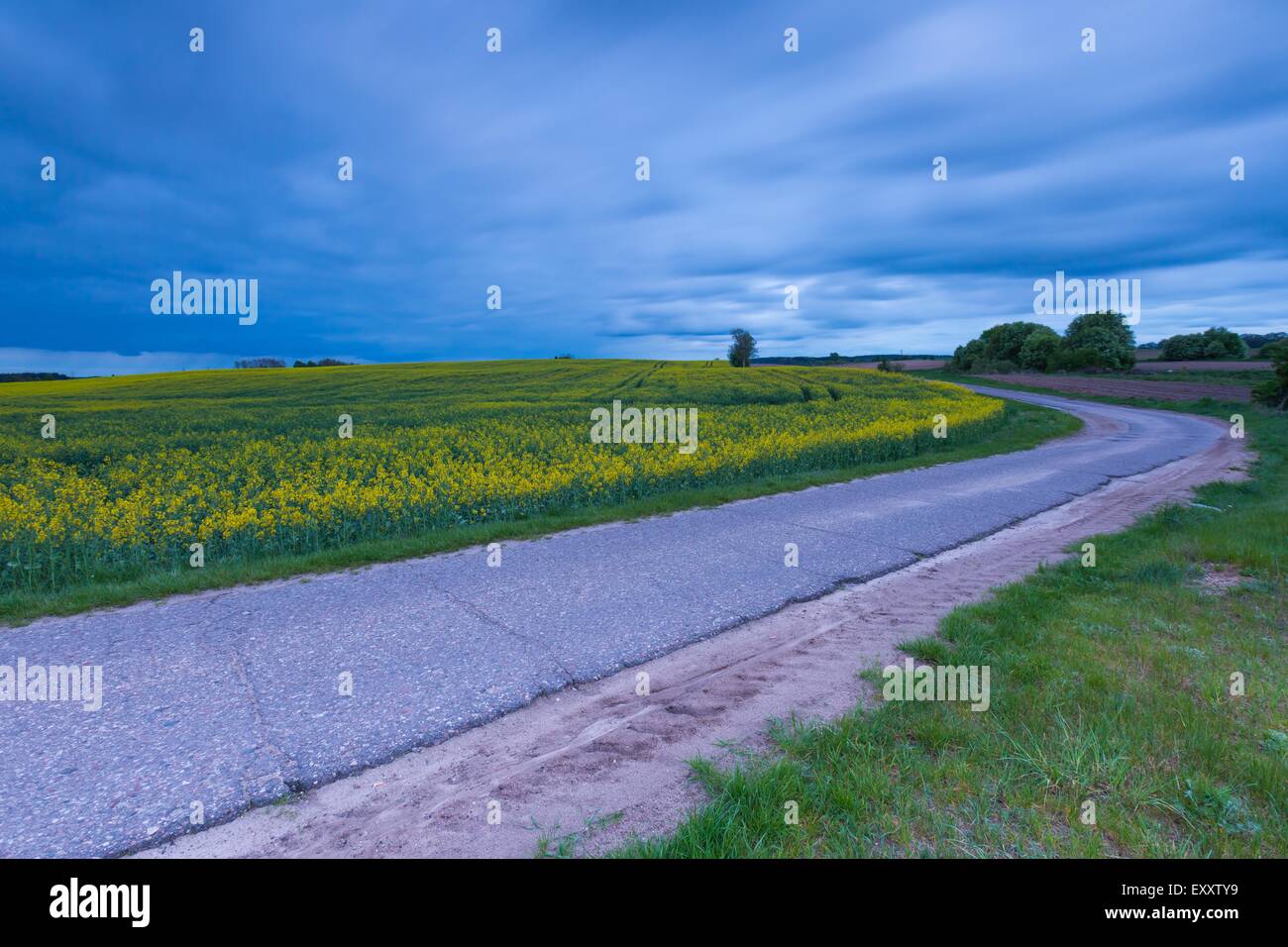 Destroyed Rural Road Rural destroyed asphalt road in calm countryside. Springtime landscape ...