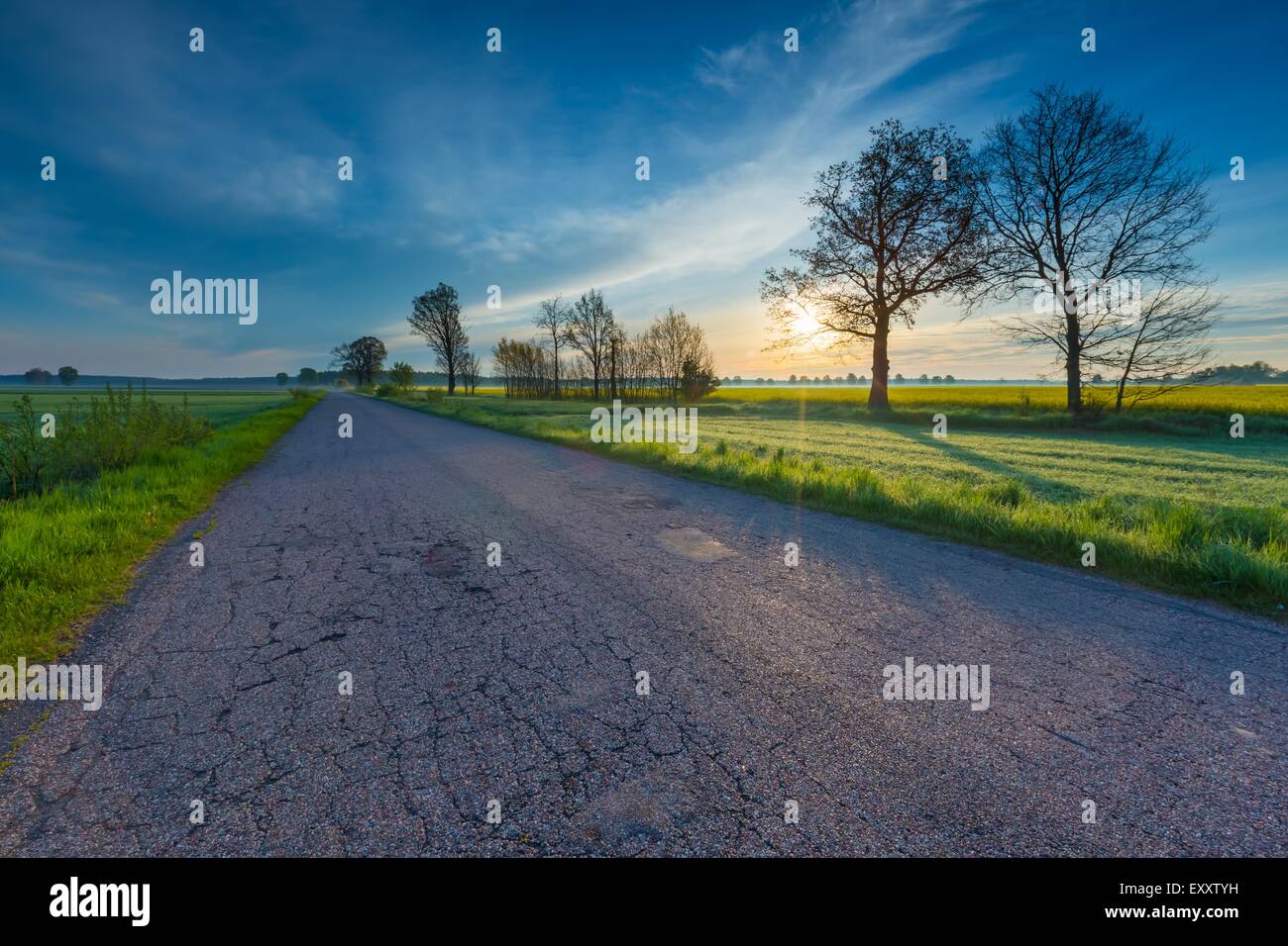 Destroyed Rural Road Rural destroyed asphalt road in calm countryside. Springtime landscape ...
