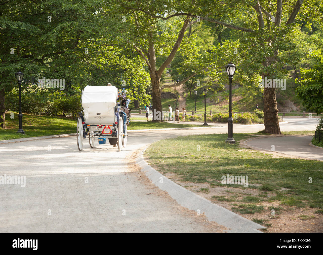 Horse carriage nyc hi-res stock photography and images - Alamy