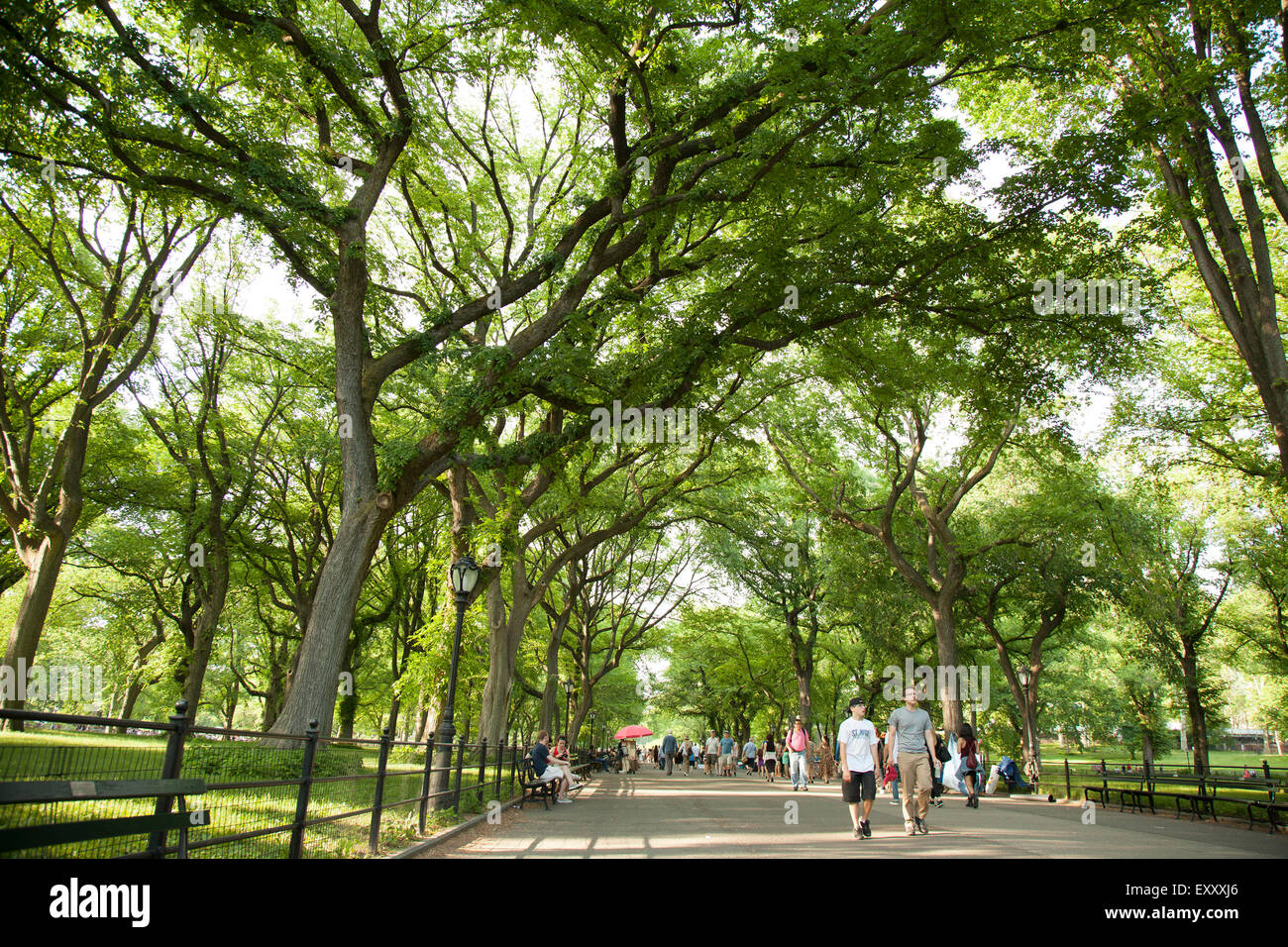 Literary walk in central park summer hires stock photography and