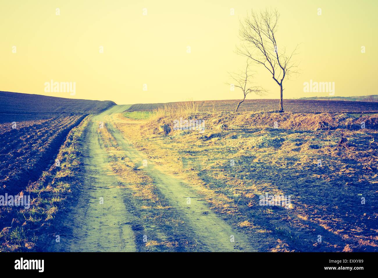 Grassy field calm hi-res stock photography and images - Alamy